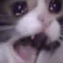 吕氏的贵宾会网址 ここでご紹介している内容はベラジョンカジノ 登録 安全作品の副次的な視点提供を目的として引用しています